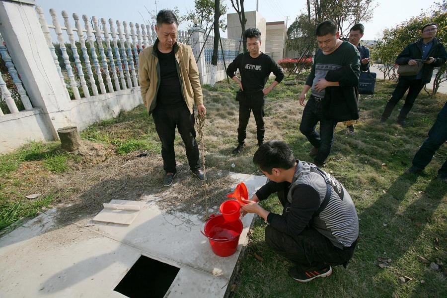 坐观成败打一准确生肖精选解析、解释与落实、构建解答解释落实